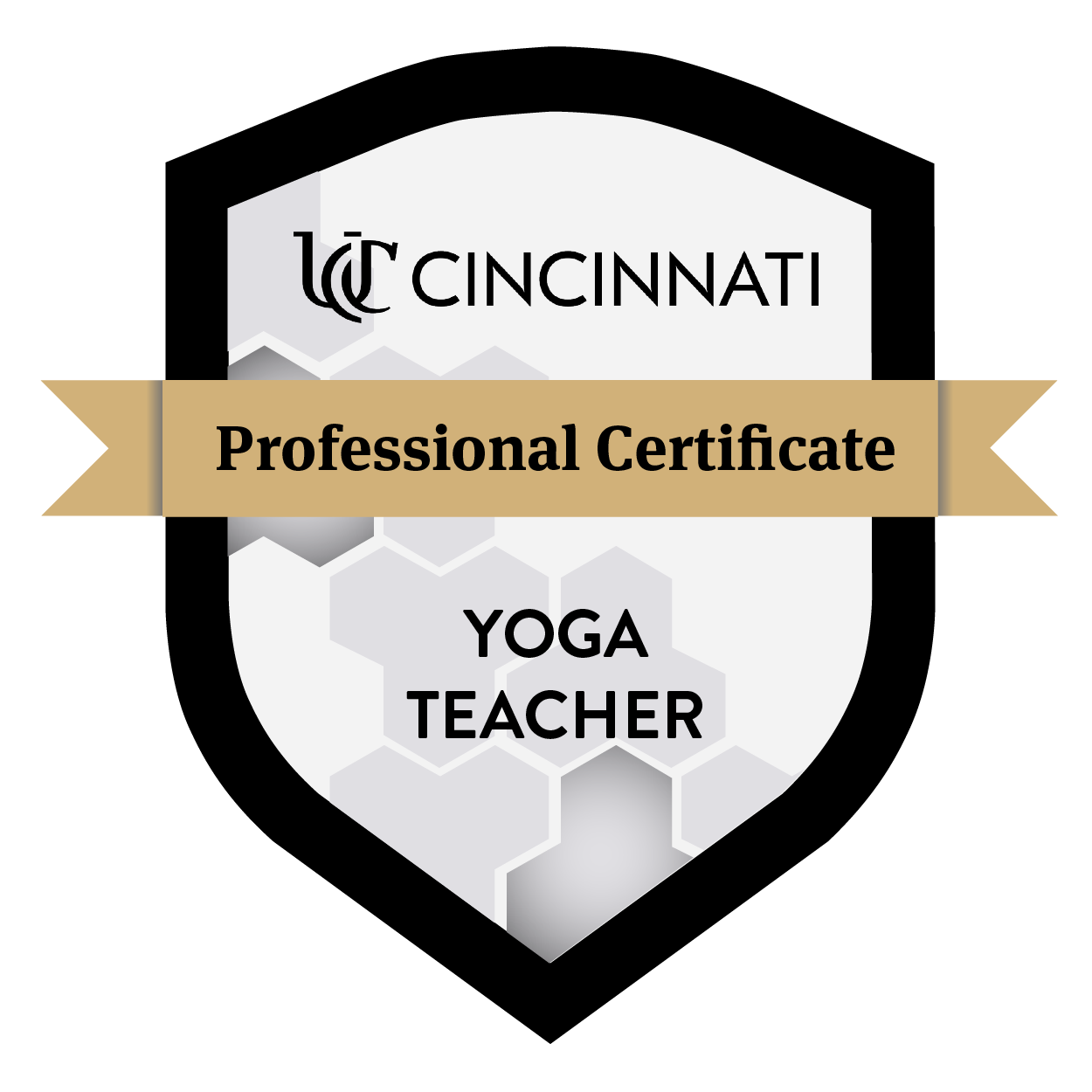 University of Cincinnati Professional Certificate for Yoga Teacher