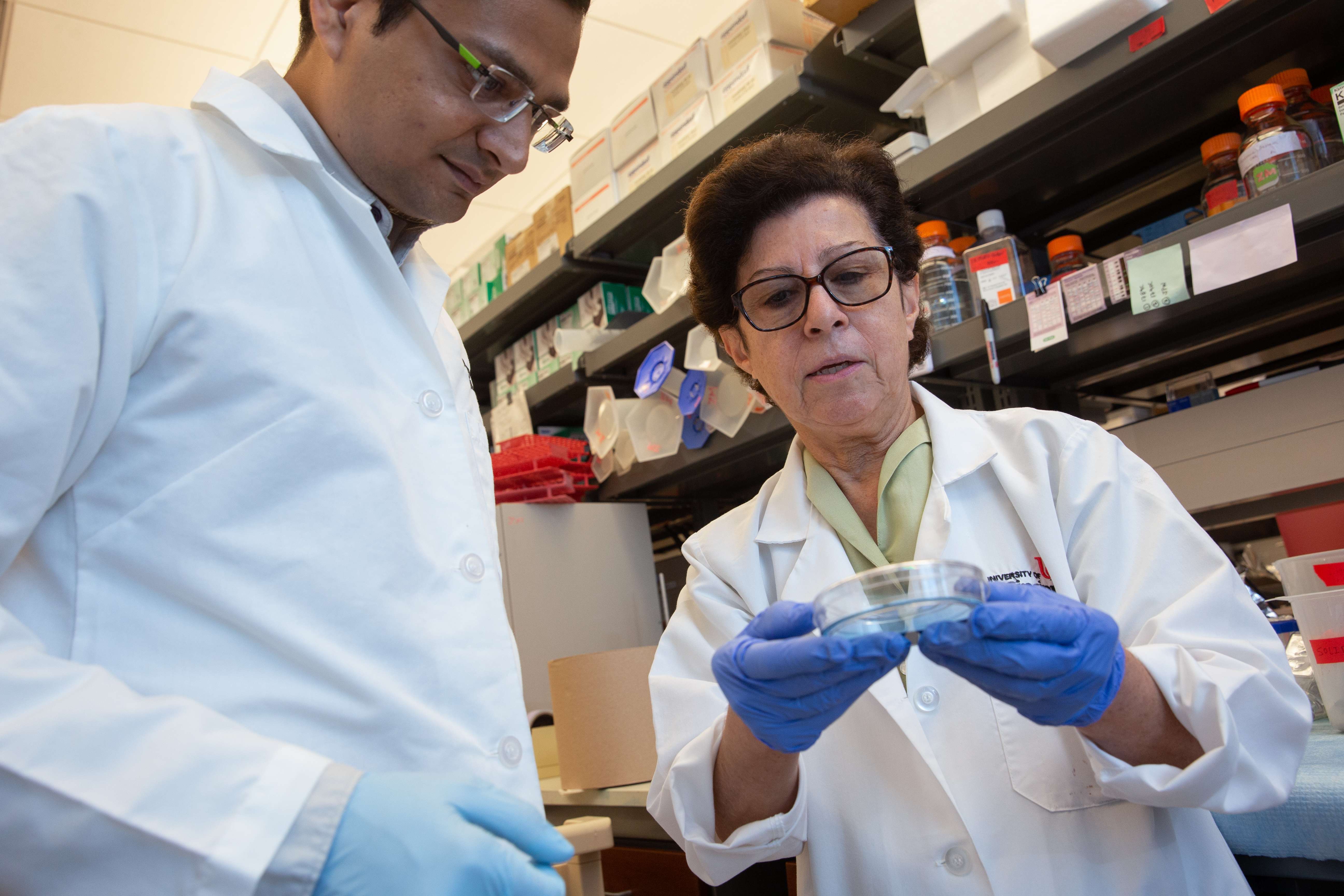 Pharmacy professionals reviewing medication materials in a laboratory setting
