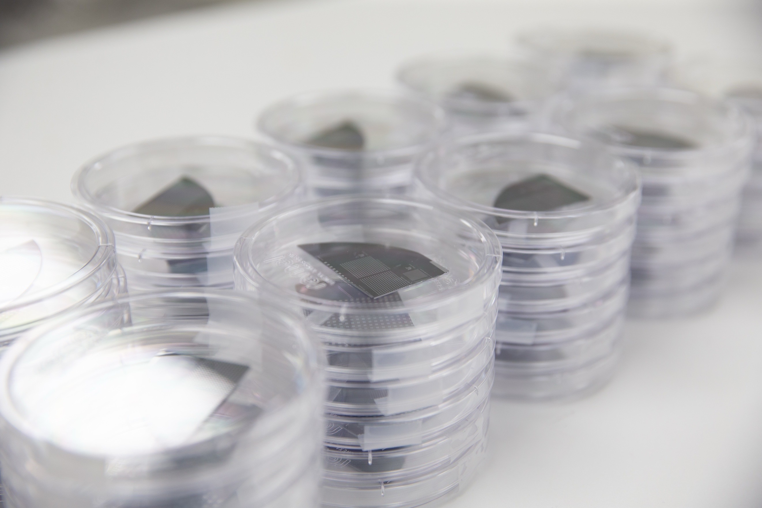 Semiconductor wafers stored in protective containers
